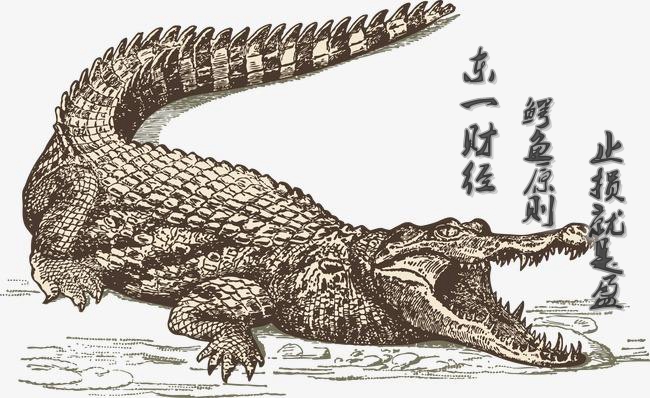 炒黄金原油的精髓在于懂得解套